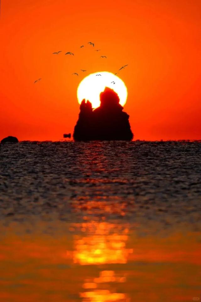 这个冬天，总要来青岛看一场日出吧！