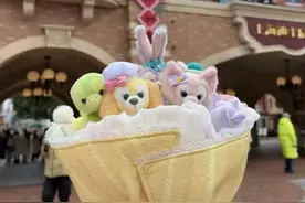 上海迪士尼“七宝花束”代购价飙至千元！非官方渠道暗藏假冒风险图片