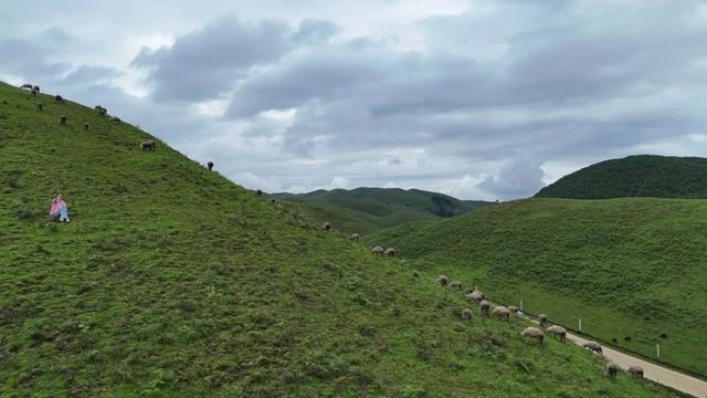 暑假带娃徒步+露营！昆明必去的6个高山草原，凉爽舒心，星空野餐两不误！