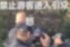 锐评｜看大熊猫，录综艺的凭什么优先？图片