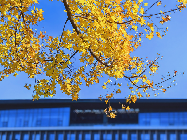 初冬北京，碧水蓝天美景好治愈