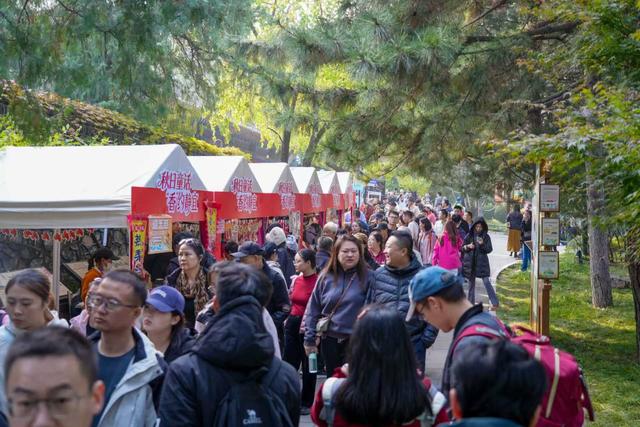 层林尽染正当时，香山公园进入红叶最佳观赏期