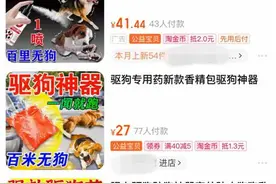狗嘴套、驱狗神器热卖背后，如何规范文明养犬行为？图片