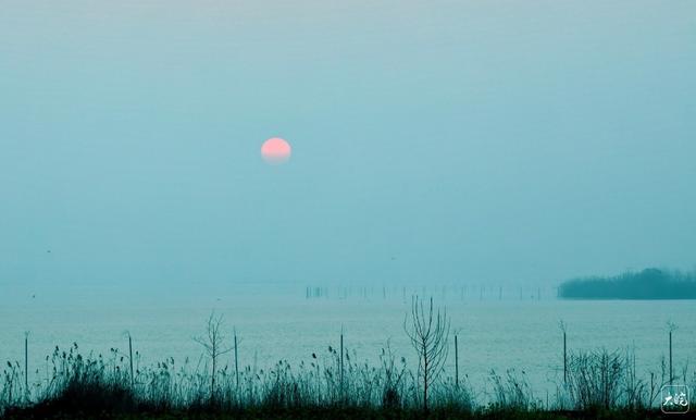 组图｜到淮南“小洱海”，赴一场春日与飞鸟的约定