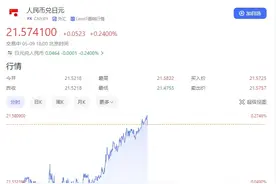 LV门口排长龙，“店里都是中国人！”日本34年来“最便宜”？买一个奢侈品包直接省下机票钱图片