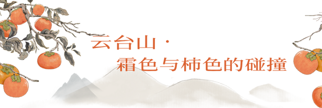 霜降柿事｜今日宜：在修武咬住一整个秋天！
