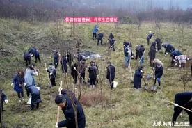赴绿色约定 亮生态底色 | 六盘水高新区开展2025年义务植树活动图片