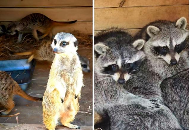 锚定文旅新风口 郑州中大门MOMO PARK打造城市自然生活新范本