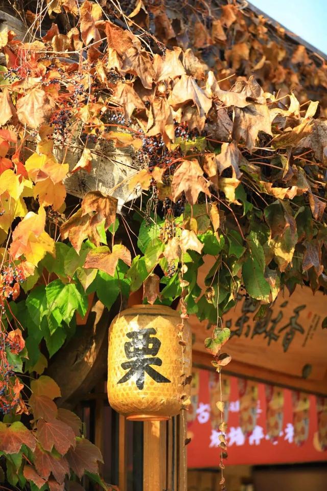 北京唯一！这座“中国历史文化名镇”上新“文旅地标” | 周末京郊微度假