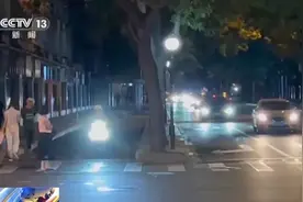 新“马路杀手”夜晚出没！河北街头也有……图片