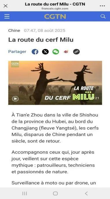 国家级文旅嘉年华 9月亮相湖北