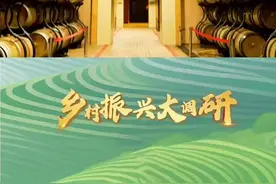 一颗小葡萄，酿出超30亿年产值！背后有怎样的产业布局？图片
