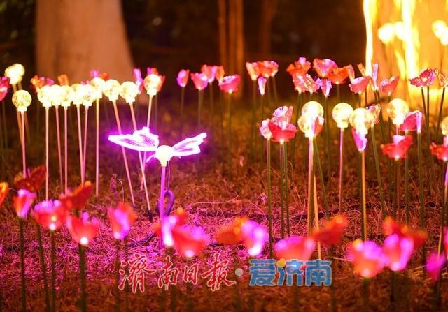 一年四季 泉在济南丨迎春花灯亮化测试，五龙潭公园点亮“花涧秘境”