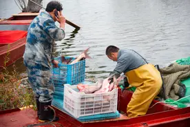 开河啦，密云水库正式进入2023年捕鱼期图片