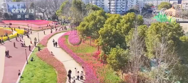 去踏青、共赏花，春意正浓！““春日经济”蓬勃绽放