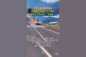 高速上轿运车起火，司机孤立无援一个人救火，路过司机纷纷下车援助图片