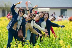 这个周末，来北上海千亩油菜花田寻花神、踏春行图片