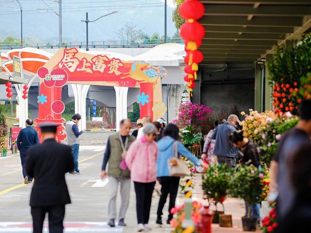 承载珠海人年味记忆的老地方，如何变身湾区文旅打卡地？