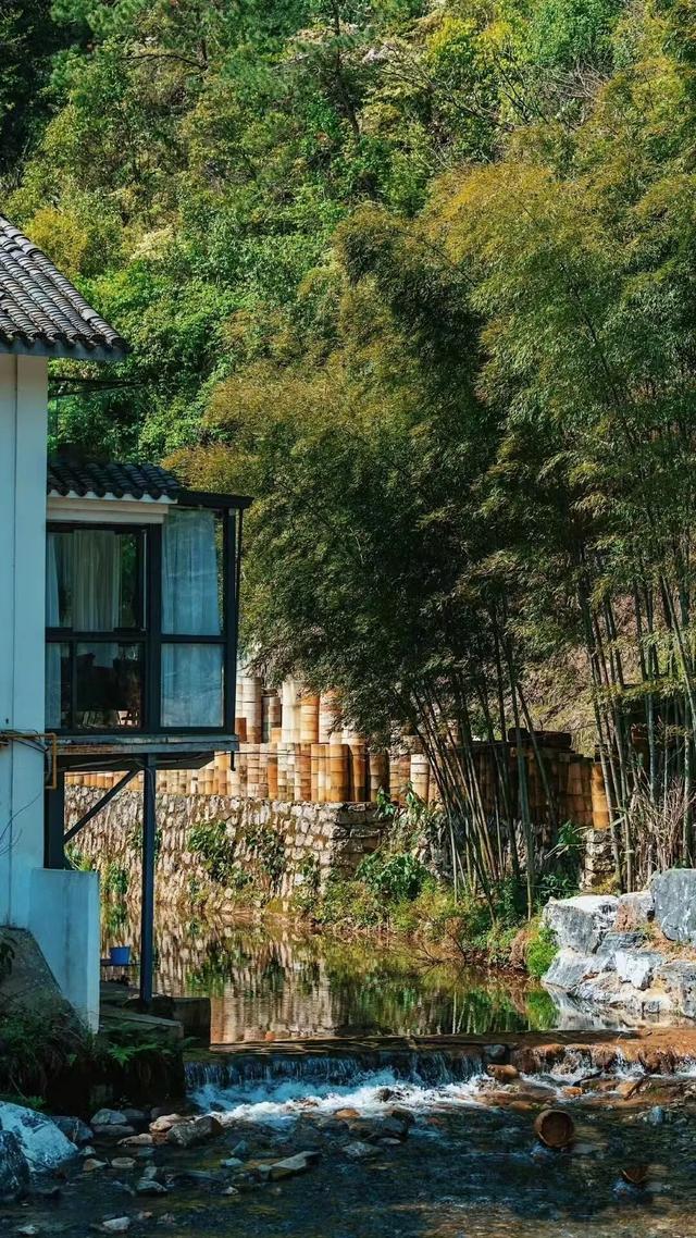 云端邂逅瓷都景德镇，领略千年瓷韵风情