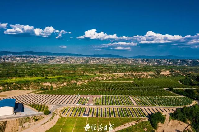 如何让“爆火”走向“长红”？看山西隰县答卷