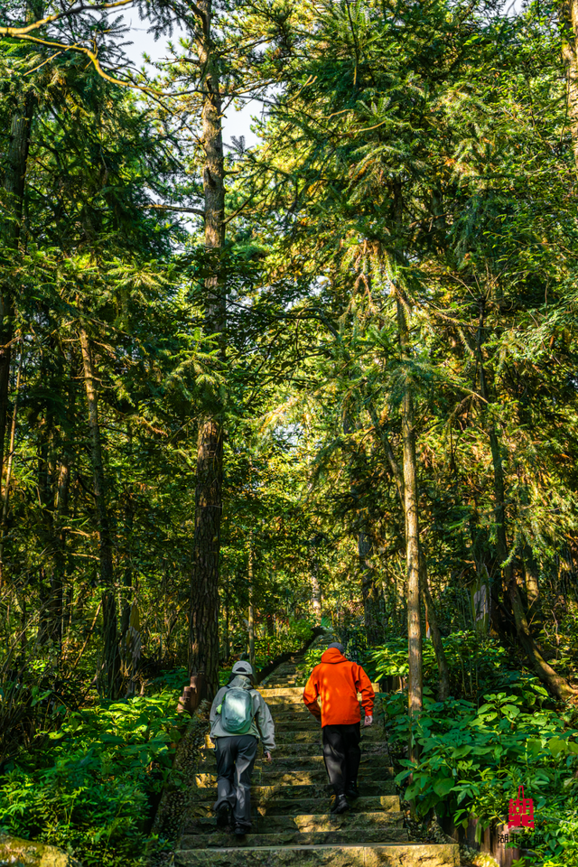 想追风，去团风！