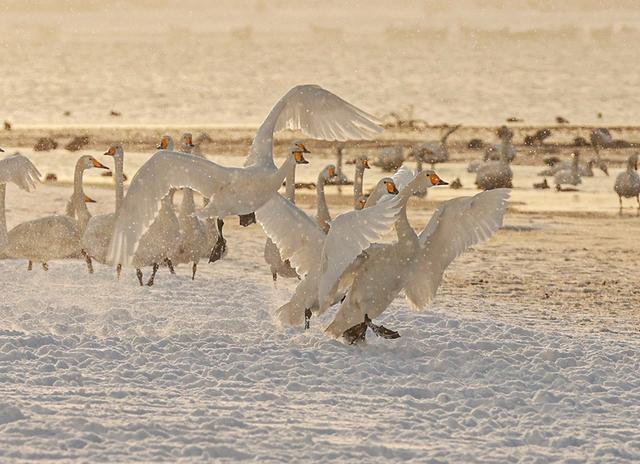 省级名单，威海榜上有名！
