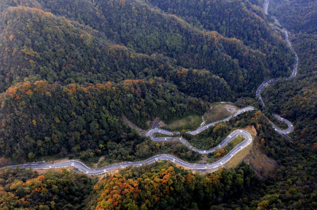 青睐绵阳 ‖ 层林尽染，枫顺邀你共赴红叶之约