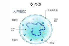 支原体肺炎多发！阿奇霉素使用要注意！图片