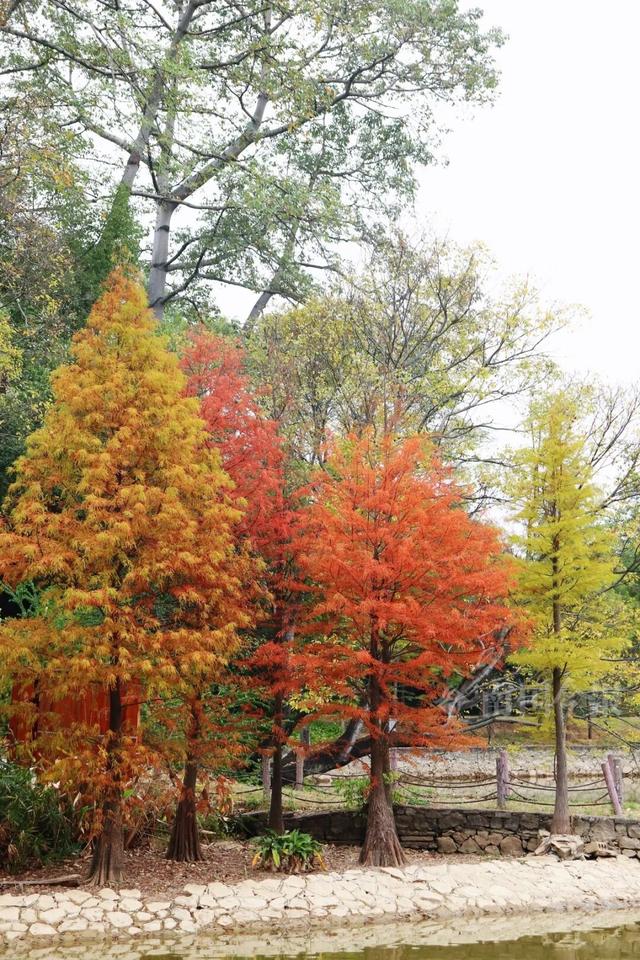 柳州，彩色刷屏！大反转也要来了！