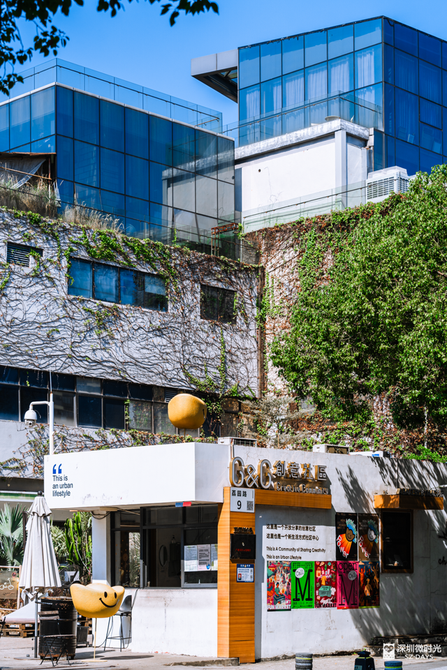 一条荔园路，多少蛇口人的前半生