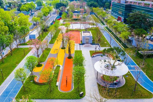 深圳2条线路入选广东儿童友好精品线路