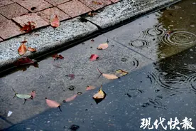 雨水“闹元宵”，江苏24小时降温6~8℃图片