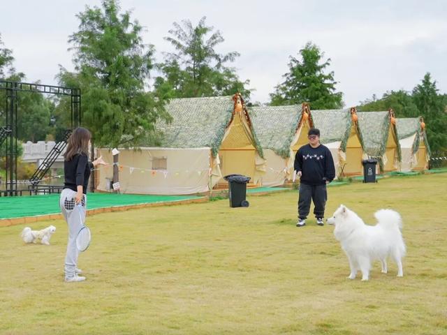 闵行竟有这样的田园惬意！品茶、露营、带娃遛狗……就藏在你熟悉的这里→