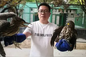 救了两只呆萌鸟，“俩货”看着像说相声的图片