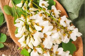 谷雨前后抓紧吃它，错过再等1年！清肝、清热样样强，懂行都在吃，一口清香嫩甜和豆腐绝配~图片