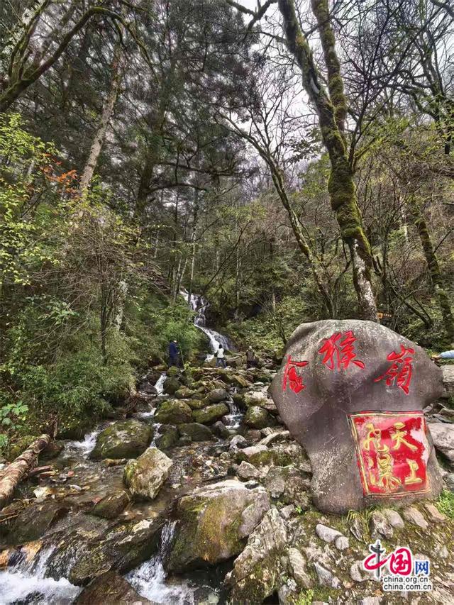 高舜礼：神农架的旅游，应重在“神”上发力