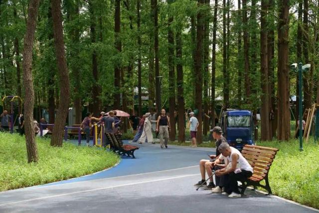 这个滑梯你小时候玩过吗？杨浦公园改造，始于上世纪60年代的大象滑梯全新亮相，还带来一个儿童乐园