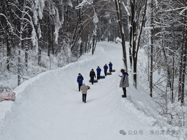 净月潭新地标冲刺收尾！1677米“森林穿越雪飘流”即将开滑！