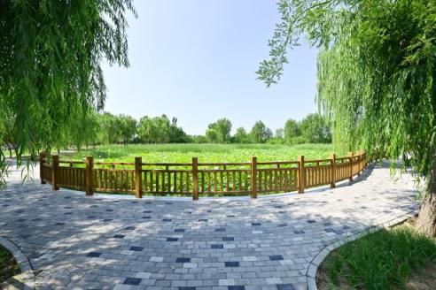 把一条破路变成“最美乡村路”