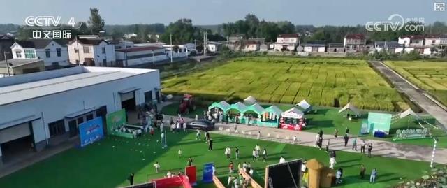 “候鸟经济”升温：多样化旅居串起多元消费链 激活地方发展新动能