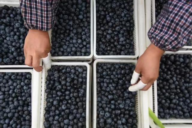 黔东南:商品共荣 特色产品走遍千寨带出山