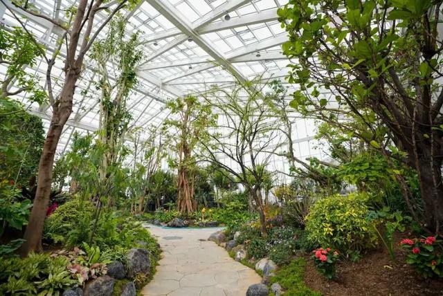 预计4月正式向公众开放！宁波新增一个打卡好去处