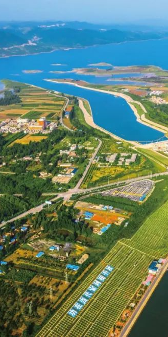 豫见两山 绿色答卷丨生态之旅——打卡“大水缸”淅川县