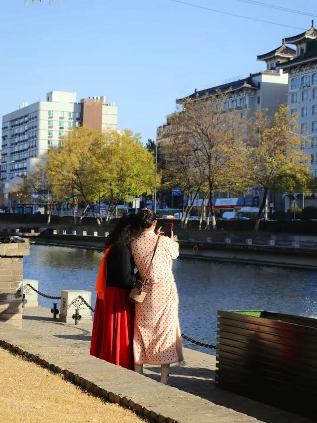 大白鹭现身!寒潮来临前,到环城公园赴一场暖冬之约~