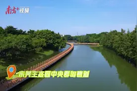 航拍｜飞“悦”碧道，东莞这处风景“惊艳”图片