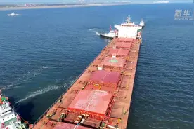 中粮集团首船“零毁林和零植被破坏”巴西大豆成功交付图片