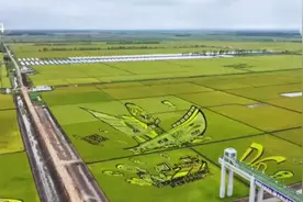 荒原变粮仓 “数”说北大荒新型农业现代化道路图片