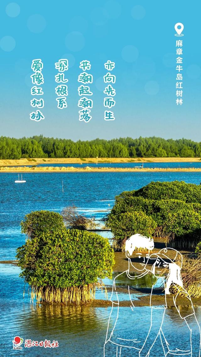 今天，湛江给你写了一封情书！爱了爱了~