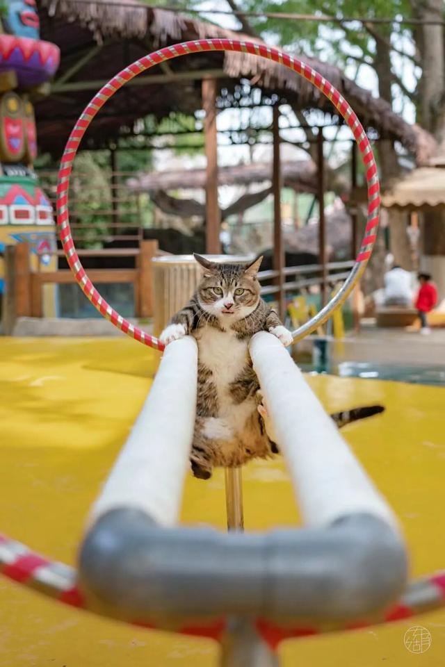 送票 | 今年的第一场秋游，来东湖