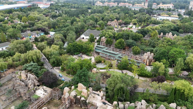 3.0时代开启！临沂动植物园焕新重塑，打造城市生态新地标